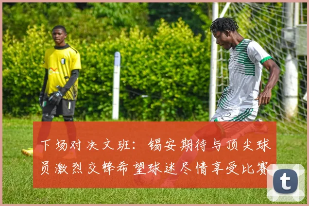 下场对决文班：锡安期待与顶尖球员激烈交锋希望球迷尽情享受比赛乐趣